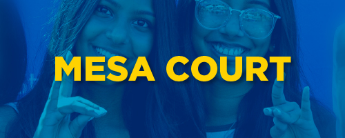 Mesa Court Community Guide